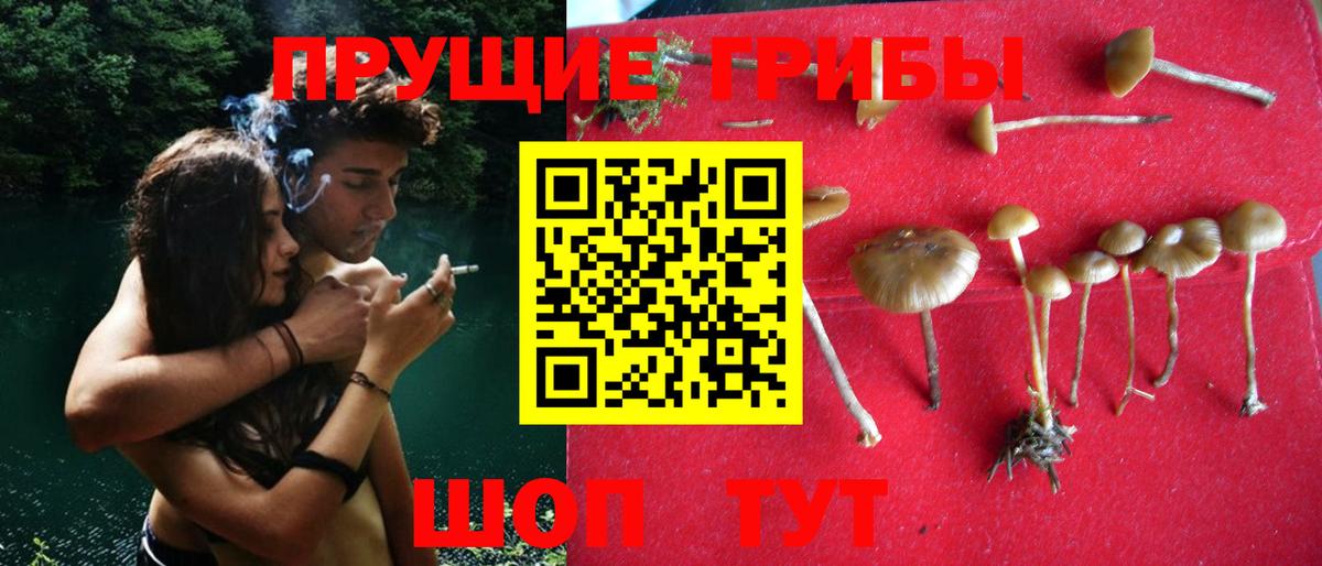 Галлюциногенные грибы прущие грибы Кемерово