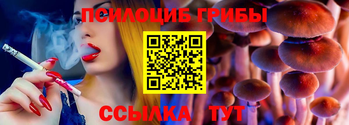 Псилоцибиновые грибы Cubensis  Вход с VPN  Кемерово 
